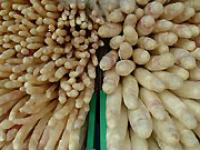 spargel2.jpg Spargel
