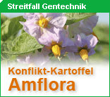 Amflora Amflora