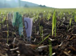 Der Deutsche Bauernverband lehnt die Vorschl�ge zum �Greening� der Direktzahlungen ab.&copy; landpixel.de