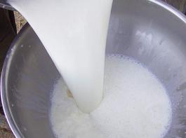 In den USA sind monatlich 272 Millionen Kilogramm mehr Milch am Markt unterzubringen.&copy; almotti/pixelio.de