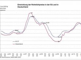 Entwicklung der Rohmilchpreise in der EU und in Deutschland.