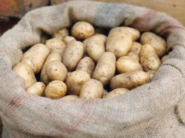 Laut DBV h�tte Verbraucher 2012 f�r durchschnittlich 0,64 Euro pro Kilogramm seine frischen Speisekartoffeln im Lebensmittelhandel eingekauft.&copy; I. Rasche/pixelio.de
