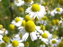 &copy; c/Fotolia