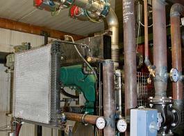 Das Pyrolysegas wird nach einer partiellen Oxidation im Gasmotor verstromt.&copy; Kahnt-Ralle/Schomaker/Big Dutchman