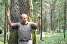 Teaser Bild