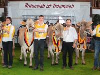 Champions-Braunviehschau.gif 