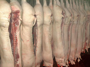 af_Kuehlraum.jpg Fleisch, Schwein