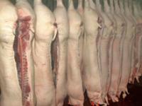 af_Kuehlraum.jpg Fleisch, Schwein