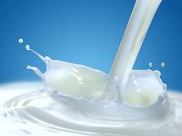 Milch.gif 