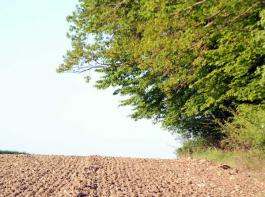 Immer mehr Investoren kaufen Land in Schwellen- und Entwicklungsl�ndern. &copy; M�hlhausen/landpixel