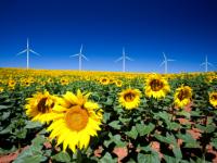iStock_000011973408XSmall.jpg 