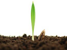 &copy; yknups/Fotolia