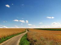 Feldweg-unter-blauem-Himmel.jpg 