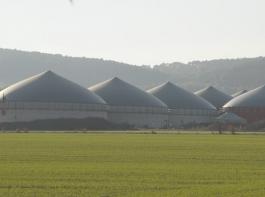 Sowohl f�r Biogasanlagen, als auch f�r Anlagen zur Herstellung von Biokraftstoffen gibt es k�nftig nur noch Investitionsbeihilfen, wenn die Produktionskapazit�t nicht gr��er ist as der durchschnittliche Eigenverbrauch.&copy; M�hlhausen/landpixel