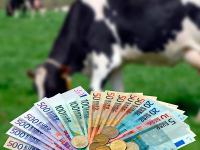Milch_Geld.jpg 