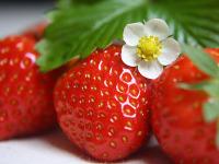 Erdbeeren.jpg 