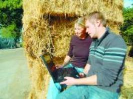 Gut vernetzt im Netz