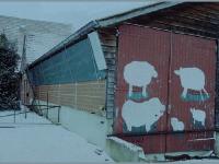 K�lberaufzucht_Frostschutz_TB K�lberaufzucht