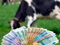 Geld_Rinder.jpg 