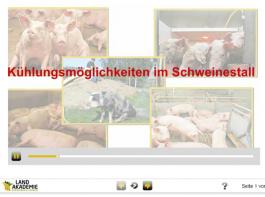 dlz-Webakademie: Machen Sie mehr aus Ihrer dlz!