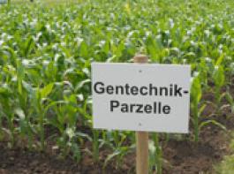 &copy; M�hlhausen/landpixel.de