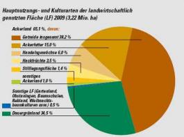 Zum vergr��ern klicken