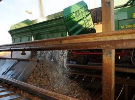 W�hrend Landwirte bei S�dzucker f�r Quotenr�ben im Schnitt 50 Euro je Tonne erhalten, zahlt Nordzucker nur 40 Euro. Doch die Verhandlungen sind noch nicht abgeschlossen.&copy; krick/agrar-press