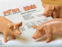 Schweineabrechnung_web.jpg 