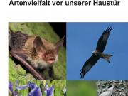 Teaser Bild