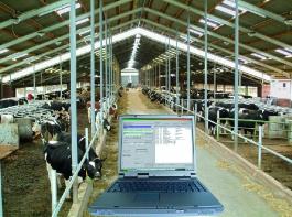 Herdenmanagementsysteme sollten speziell auf den Betrieb und die Arbeitsabl�ufe abgestimmt werden. 