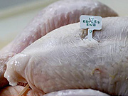 fleish5.jpg Fleisch