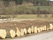 Teaser Bild
