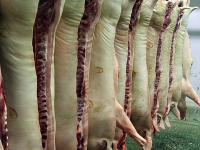 schweinehaelften_schlachtho.jpg 