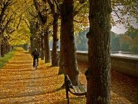 Goldenes_Herbst.jpg 