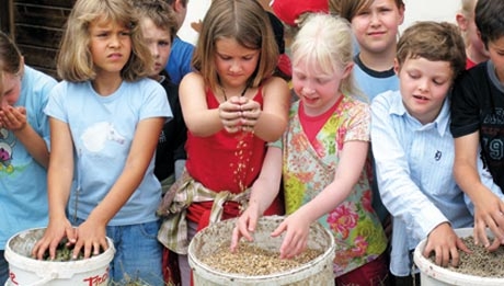 Kinder besuchen Bauernh�fe