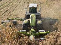 Claas Cougar Claas, Cougar, Mulcher, M�her