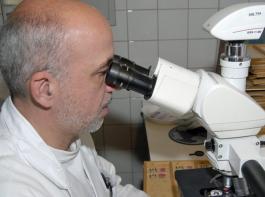 Eine Einsch�tzung, inwieweit Antibiotika in der Tierhaltung zur Vorbeugung von Krankheiten und zur Wachstumsf�rderung eingesetzt wird, kann die Bundesregierung nicht beantworten.&copy; agrarpress