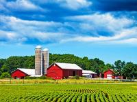 USA_Landwirtschaft.jpg 