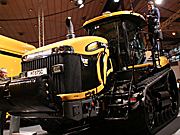caterpillar_raupe.jpg 