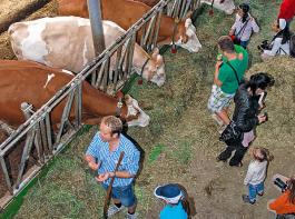 Mit G�sten im Kuhstall. � Haubner