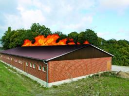 Im Landkreis Emsland brennt es. Neue Auflagen zum Brandschutz erschweren den Landwirten das Bauen von St�llen im Au�enbereich.