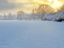 Der Frost hat auch seine idyllischen Seiten.&copy; meisterleise/aboutpixel.de