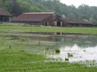 Hochwasser_Wiese2013_600.jpg 