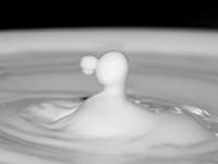 milchtropfen.jpg Milch, Tropfen