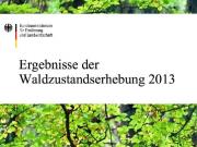 Teaser Bild