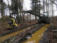 12-08-Den-Wald-fit_Harveste.jpg 