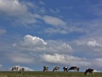 KueheWolken.jpg 