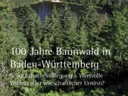 Teaser Bild