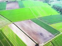 Felderlandschaft.jpg 