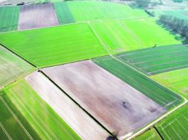 Mit Vorschriften zur Fruchtfolgewahl, dem Erhalt des Dauergr�nlandes und einer �kologisierungskomponente will die EU-Kommission die Agrarpolitik �gr�ner� gestalten.&copy; landpixel